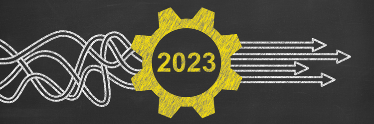 2023 Goals 2023 Goals